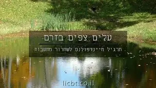 עלים צפים בזרם - תרגיל מיינדפולנס לשחרור מחשבות