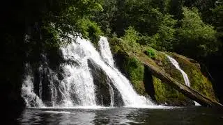 Video: Beaver Falls, Olympic Peninsula, Washington, US