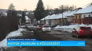 Kátyúk zavarják a közlekedést – Erdély TV