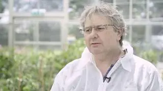 DISCO Project - Interview with Professor Paul Fraser, DISCO Coordinator