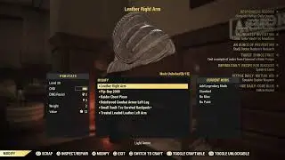 First time streaming Fallout (goal to 1.2k subs)