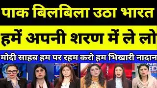 Pakistan stood up in panic, India take us under your protection | PAKISTANI REACTION | PAK MEDIA