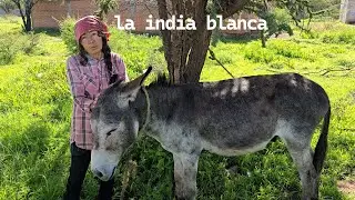 SOY LA INDIA BLANCA Y LAVO MI ROPA CON PLANTITAS