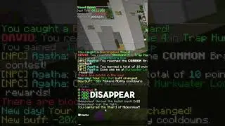 NEW Shulker Hunting!!! #minecraft #skyblock #hypixel