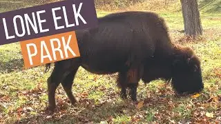 Lone Elk Park - Missouri Parks