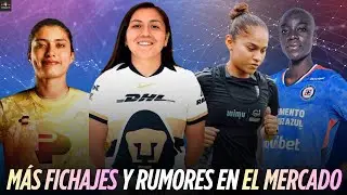 🚨FICHAJE CONFIRMADO EN CRUZ AZUL, SANTOS Y PUMAS, ¿Chivas buscó a Belen?