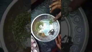 Mysore special Biriyani