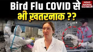 Bird Flu Warning: French Experts Fear a Pandemic Worse Than COVID-19