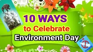 How to celebrate Environment Day 2023, 10 easy ways to save environment 2023