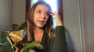 Hirts garden unboxing 😳