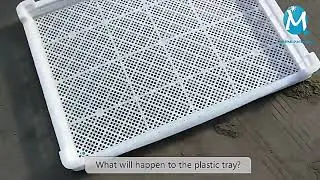 what a good quality of the plastic drying tray?