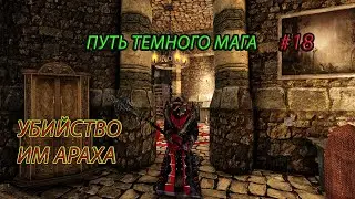 Готика 2 возвращение 2.0. Н.Б. темный маг#18  плато древних,убийство Имараха(часть1)