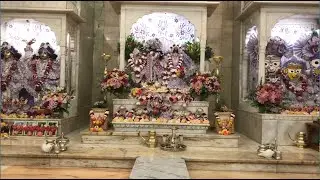 Sringara Arati - Monday 12 January 2026 - 7:00am - 7.30am