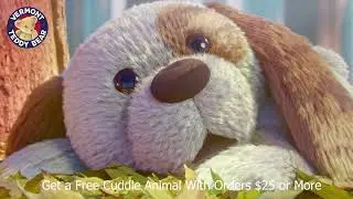 Vermont Teddy Bear Free Surprise Cuddle