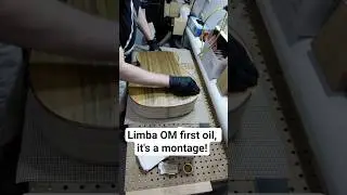 Limba OM first oil, it's a montage! #guitar #woodworking #acousticguitar #koa #limba