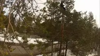 Tyrrin monttu