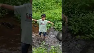rimzim baris#dance #sorts #video