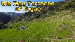 The Rice Terraces of Ifugao | Mayoyao | Batad | UNESCO World Heritage Site