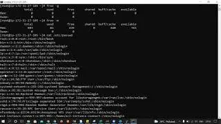 For loop bash Study