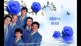 GRUPO  BRISA Y  MAR