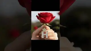 Girls Name First letter dp ❤️ || Alphabet WhatsApp pic || #bestlinesanddps #dps #alphabet #shorts