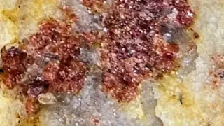 Garnet found in the wild! Lake Huron, Canada 🇨🇦