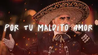 Vicente Fernández - Por tu maldito amor  (Letra/Lyrics)