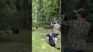 DUCK DOG TRAINING‼️ GUN TRAINING‼️‼️ #duckdog #gundogs #mossyoak #ozzyosbourne #rock