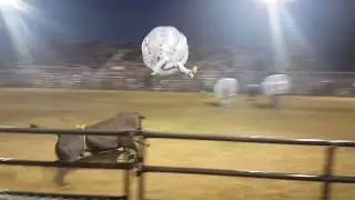 Knocker ball Bullball Soccer Rodeo / Extreme sport / Najlepsze filmiki