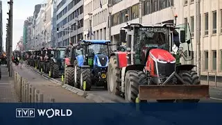 Брюссель под давлением, смогут ли лидеры добиться принятия решений в рамках МЕРКОСУР? | TVP World...
