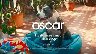 Oscar | Health Insurance Made Easy