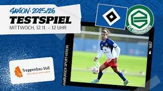 RE-LIVE: Testspiel I HSV vs. FC Groningen I pr&auml;sentiert von Treppenbau Vo&szlig;