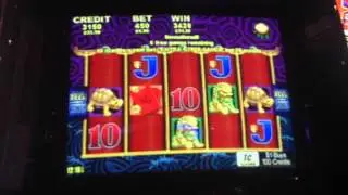 Five dragons max bet 10 spins