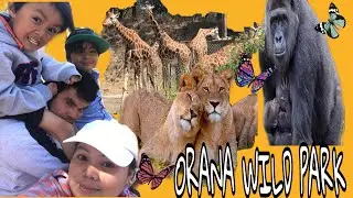 ORANA WILD PARK  NEW ZEALAND | VILLAROJO FAMILY
