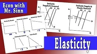 Elasticity & Total Revenue (Microeconomics)