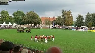 20210925 141331