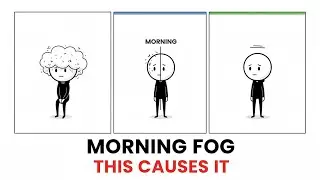 The Invisible Morning Shift Why Your Brain is Foggy And How to Fix It for 2026