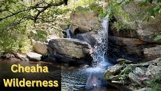 Hiking Cheaha Falls | Alabama's Cheaha Wilderness