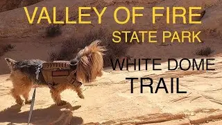 Valley of Fire, White Dome Trail #25