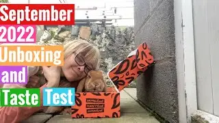 The Vegan Kind Lifestyle Box September 2022 Unboxing and Taste Test