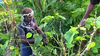 Vanuatu&mdash;a special kind of kava 3