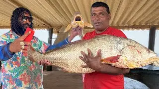 SUPER RARE!!! 1KG $48.98 Golden Catch &ndash; Professional Fish Cutting by a Market Specialist