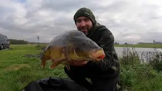 NEW Mad Cow Boilies | Whacker Catcher Products