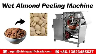 Wet Almond Skin Peeler Machine Test Video|Almond Peeling Machine|Soaked Almond Blanching Peeler