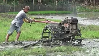 Traktor Sawah Libas Lahan Rumput Padat Sangat Tebal