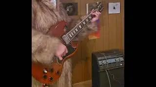 ACDC she shook me all night long guitar example. 