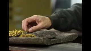 How to make bush bread