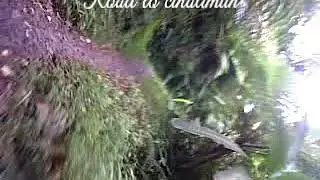 Road to cihalimun