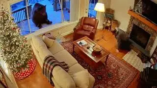 One Second Calm — Next Second, a Bear