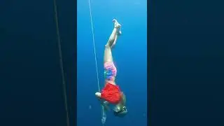 Freedive. UAE. Girls in freedive.